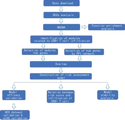 Identification of Key Genes Related to CD8+ T-Cell Infiltration as Prognostic Biomarkers for Lung Adenocarcinoma